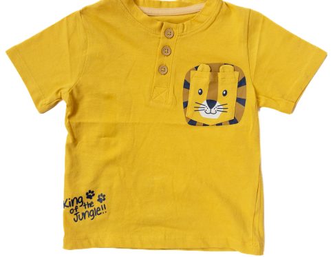تیشرت پسرانه برند Baby harvest